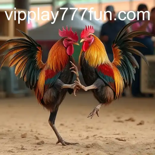 The Growing Popularity of Online Sabong: An In-Depth Exploration into the World of PLAY777